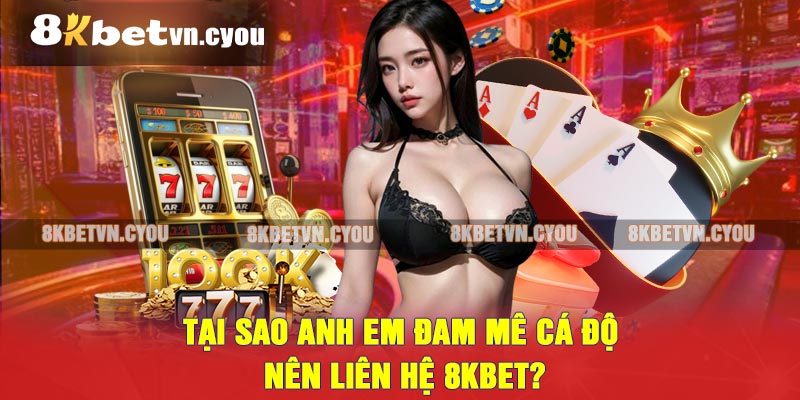 Tại sao anh em đam mê cá độ nên liên hệ 8KBET?