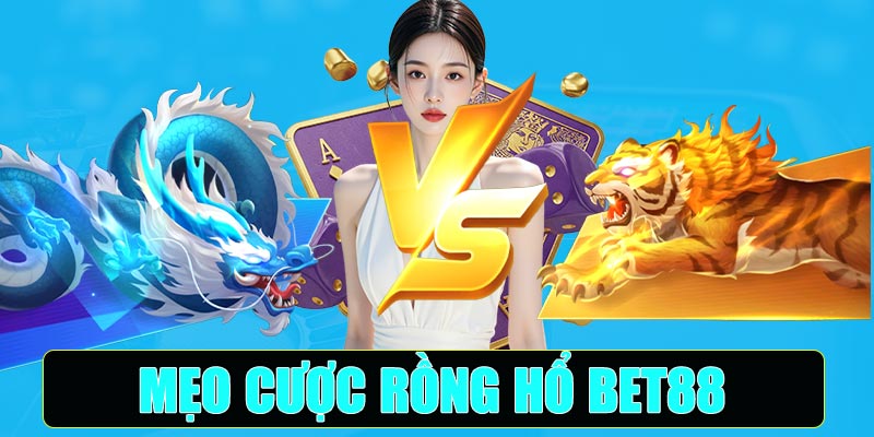 Mẹo cược Rồng Hổ Bet88
