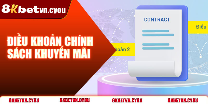 Chính sách khuyến mãi và điều kiện áp dụng ưu đãi